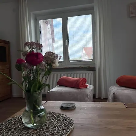 Apartment Seeglueck Rheinparadies - Geraeumige Mit Wasserblick Balkon Parkplatz Und Zentrumsnaehe Am Rheinufer In *