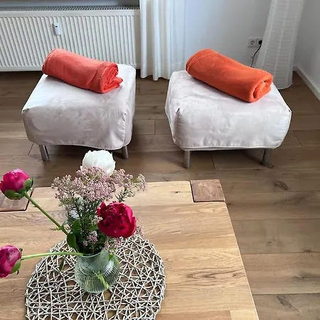 Seeglueck Rheinparadies - Geraeumige Mit Wasserblick Balkon Parkplatz Und Zentrumsnaehe Am Rheinufer In *