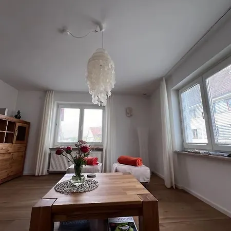 Seeglueck Rheinparadies - Geraeumige Mit Wasserblick Balkon Parkplatz Und Zentrumsnaehe Am Rheinufer In Konstanz