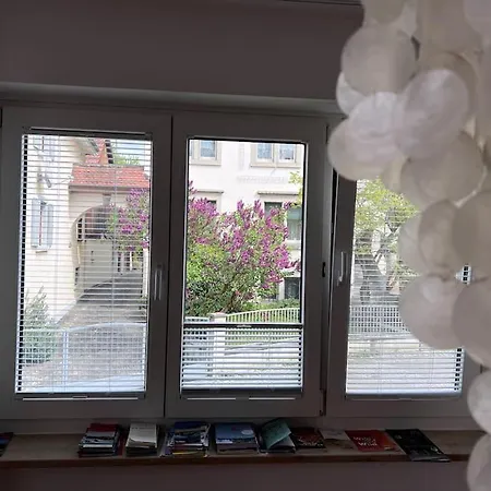 Apartment Seeglueck Rheinparadies - Geraeumige Mit Wasserblick Balkon Parkplatz Und Zentrumsnaehe Am Rheinufer In