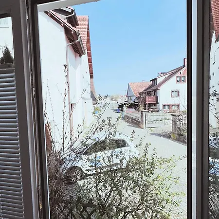 Apartament Seeglueck Rheinparadies - Geraeumige Mit Wasserblick Balkon Parkplatz Und Zentrumsnaehe Am Rheinufer In *